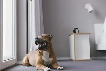 **  Magdas Hotel Wien Österreich